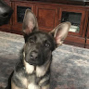 Meet your Posher, Lana